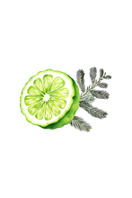 Load image into Gallery viewer, Floor Cleaner Concentrate | Bergamot & Cypress