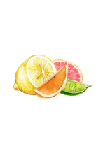Load image into Gallery viewer, Floor Cleaner Concentrate | Lemon, Lime, Orange & Grapefruit