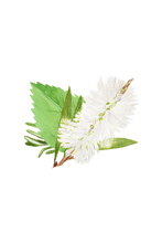 Load image into Gallery viewer, Floor Cleaner Concentrate | Rosemary, Mint & Tea Tree