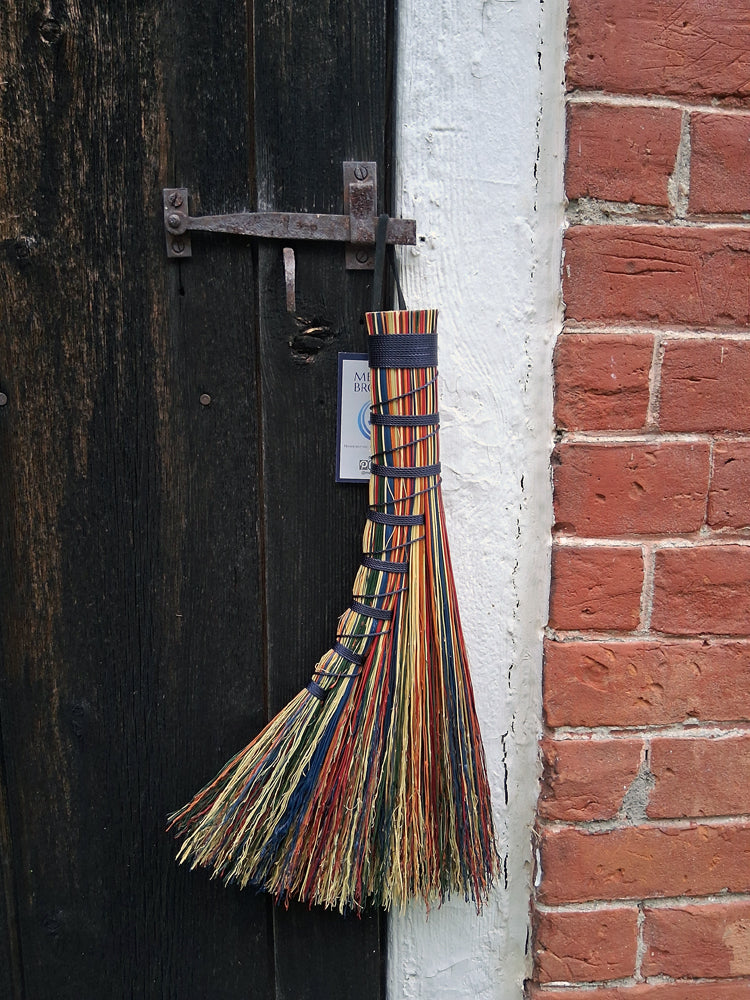 Rainbow Turkey Wing Whisk
