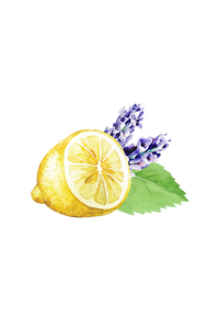 Floor Cleaner Concentrate | Lavender, Lemon & Mint